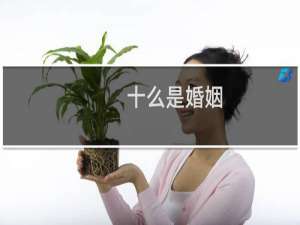 十么是婚姻