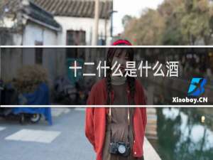 十二什么是什么酒