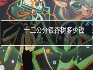 十二公分银杏树多少钱