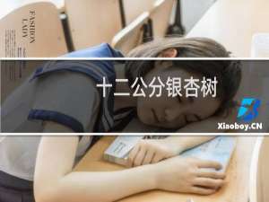 十二公分银杏树