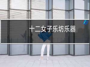 十二女子乐坊乐器