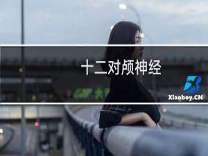 十二对颅神经