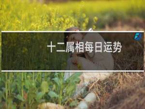 十二属相每日运势
