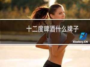 十二度啤酒什么牌子