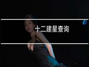 十二建星查询