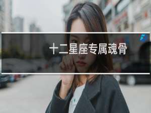 十二星座专属魂骨