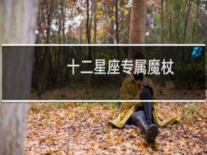十二星座专属魔杖
