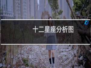 十二星座分析图