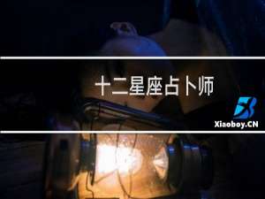 十二星座占卜师
