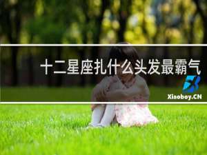 十二星座扎什么头发最霸气