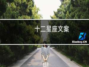 十二星座文案