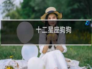 十二星座狗狗