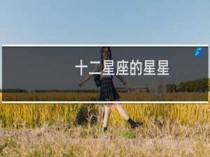 十二星座的星星