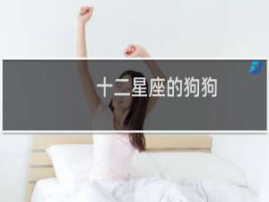十二星座的狗狗