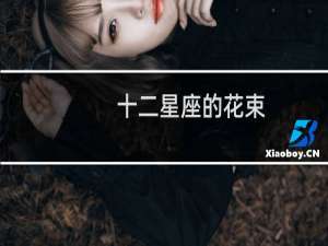 十二星座的花束