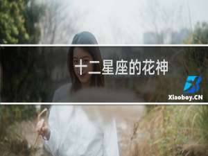 十二星座的花神