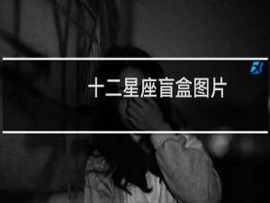 十二星座盲盒图片