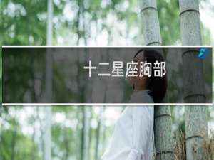 十二星座胸部