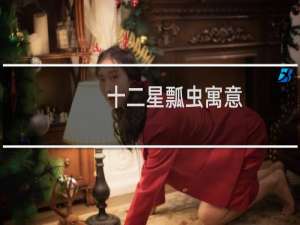 十二星瓢虫寓意