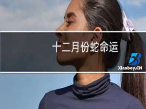 十二月份蛇命运