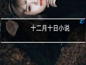 十二月十日小说