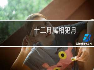 十二月属相犯月