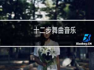 十二步舞曲音乐