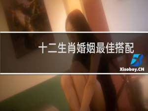 十二生肖婚姻最佳搭配