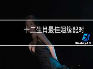 十二生肖最佳姻缘配对狗（十二生肖最佳姻缘配对全部）