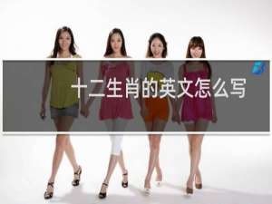 十二生肖的英文怎么写