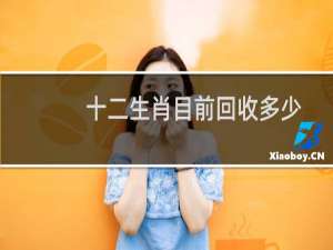 十二生肖目前回收多少