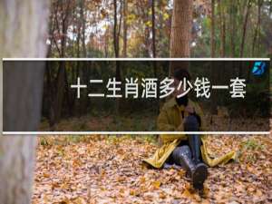十二生肖酒多少钱一套