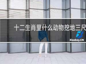 十二生肖里什么动物挖地三尺