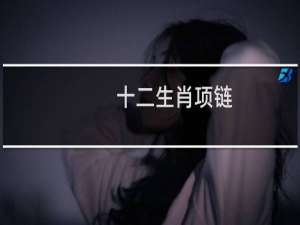 十二生肖项链