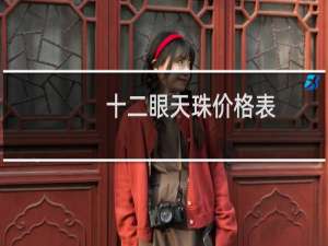 十二眼天珠价格表