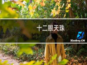 十二眼天珠