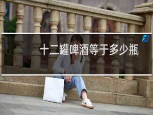 十二罐啤酒等于多少瓶