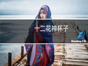十二花神杯子