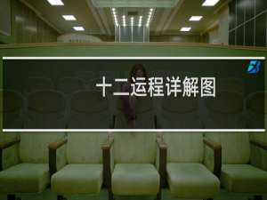 十二运程详解图