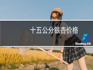 十五公分银杏价格