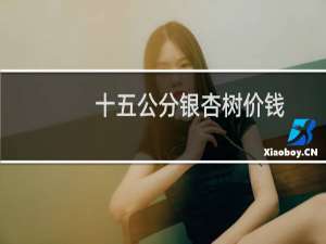 十五公分银杏树价钱
