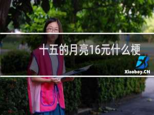 十五的月亮16元什么梗