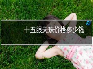 十五眼天珠价格多少钱