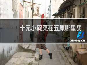十元小碗菜在五原哪里买
