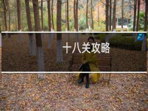 十八关攻略