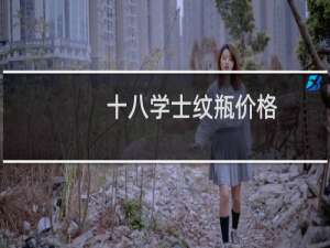 十八学士纹瓶价格