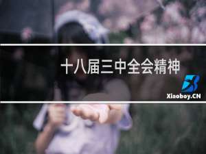 十八届三中全会精神