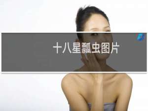 十八星瓢虫图片