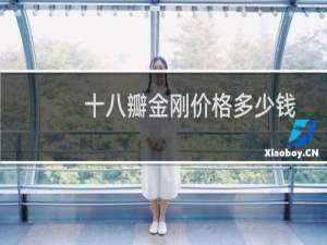 十八瓣金刚价格多少钱