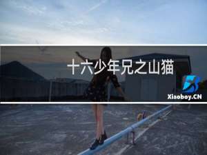 十六少年兄之山猫